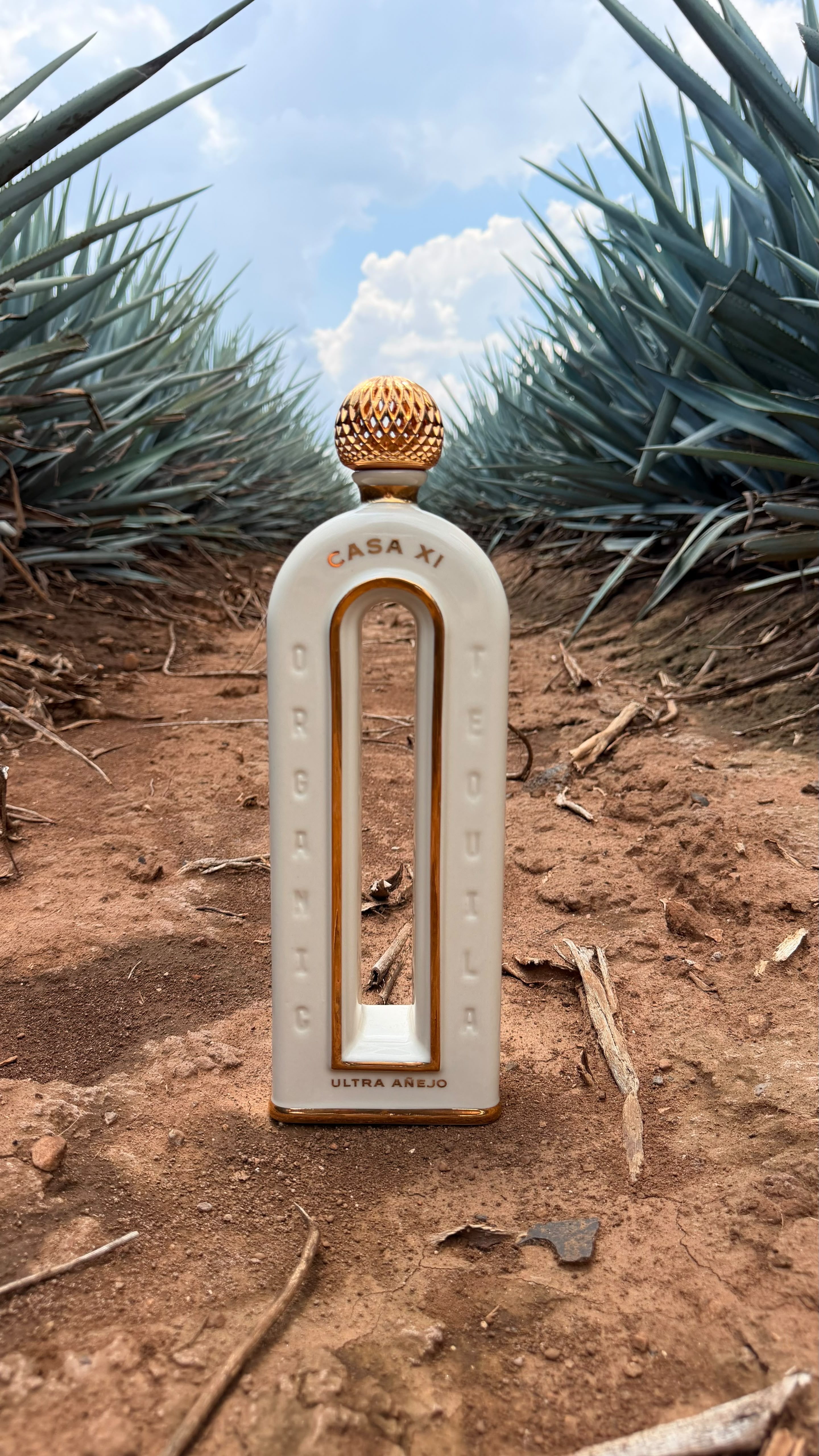 Casa XI organic ultra añejo decanter standing in an agave field